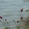 120728_031_douglas