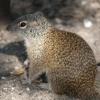 120729_003_douglas