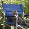 120729_006_douglas