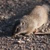 120729_015_douglas