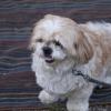 120729_024_douglas