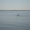 120730_016_douglas