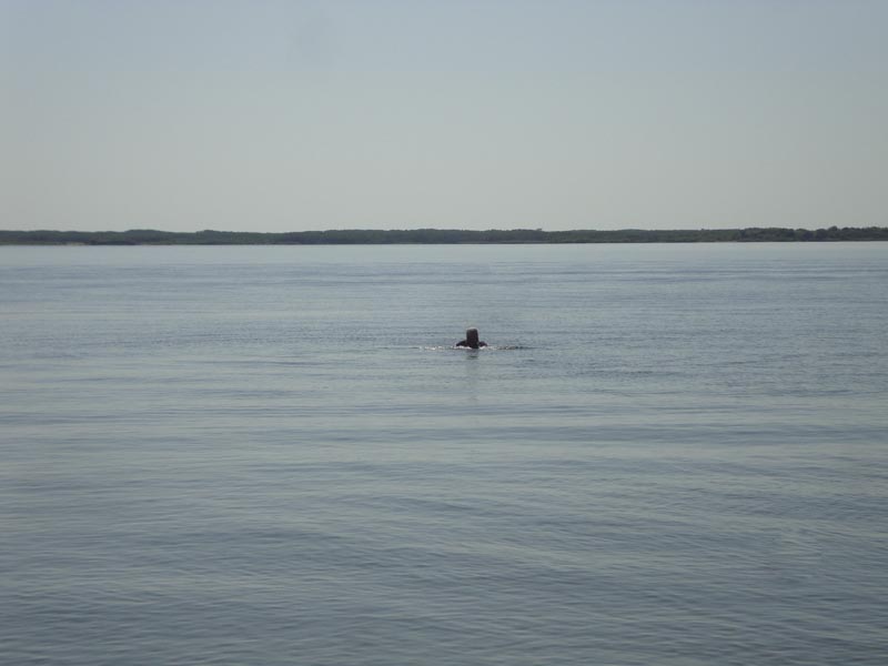 120730_016_douglas
