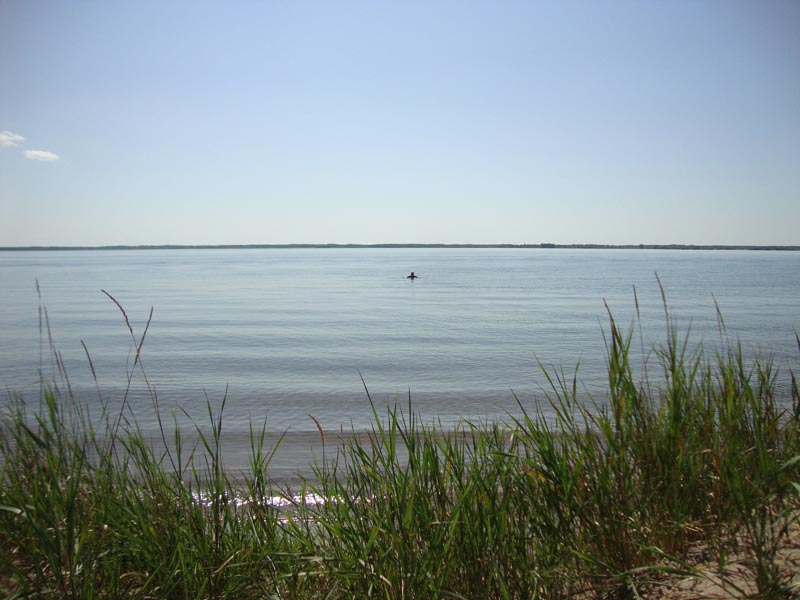 120730_017_douglas