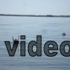 douglas_120730_swim