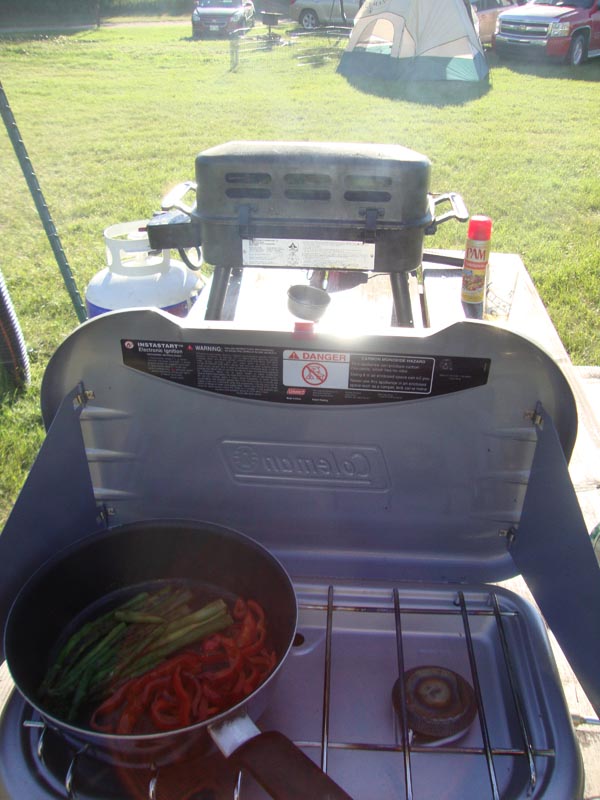 120804_003_buffalopound_valleyview