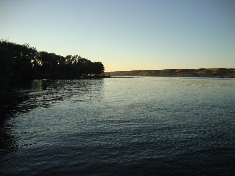 120804_004_buffalopound