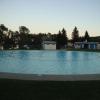 120804_013_buffalopound