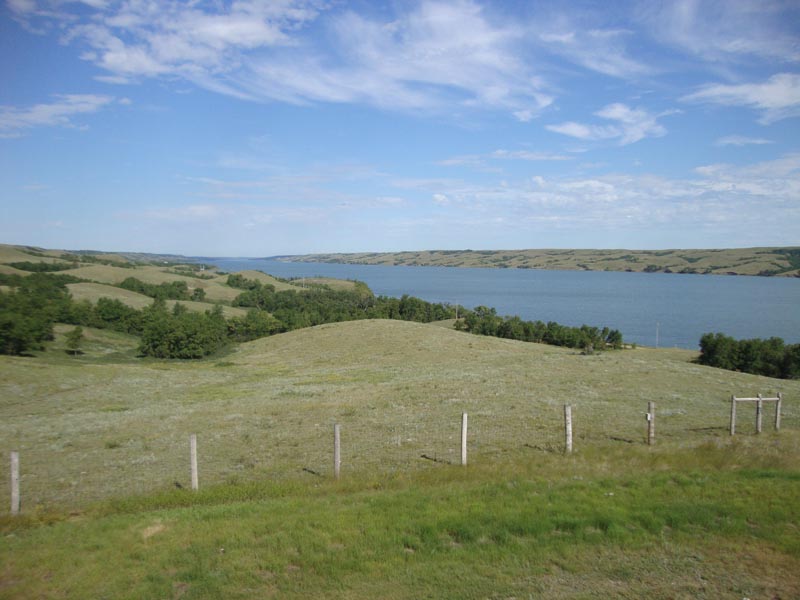 120805_002_buffalopound