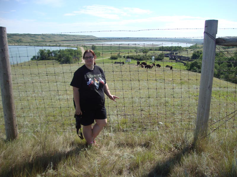 120805_013_buffalopound
