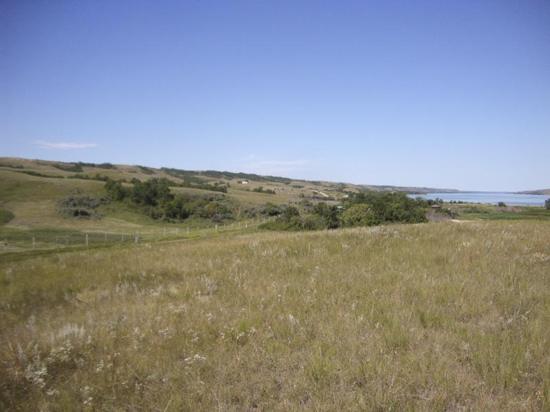120805_044_buffalopound