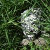 120805_049_buffalopound_geocache