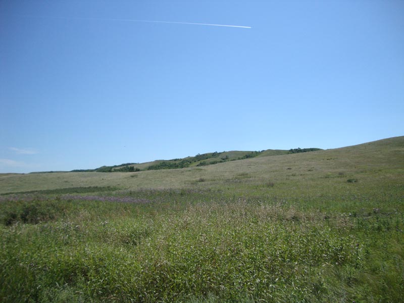 120805_052_buffalopound