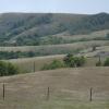 120805_055_buffalopound_nico