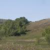 120805_062_buffalopound