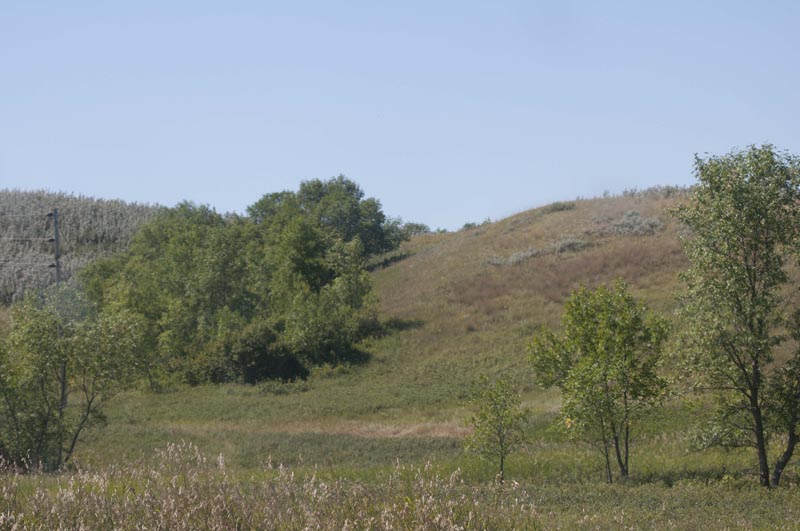 120805_062_buffalopound