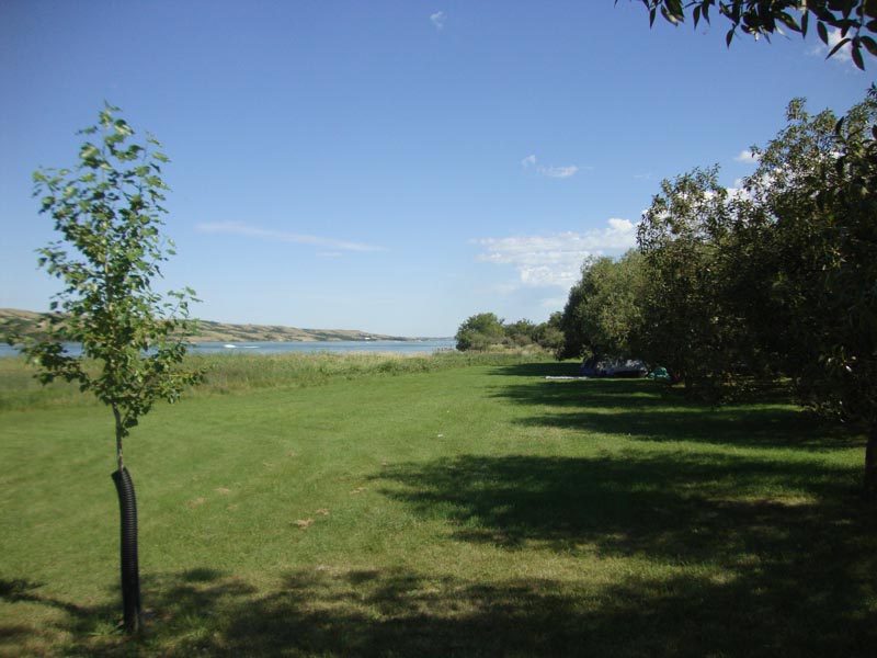 120806_010_buffalopound