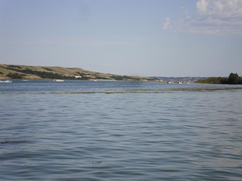 120806_015_buffalopound