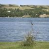 120806_016_buffalopound