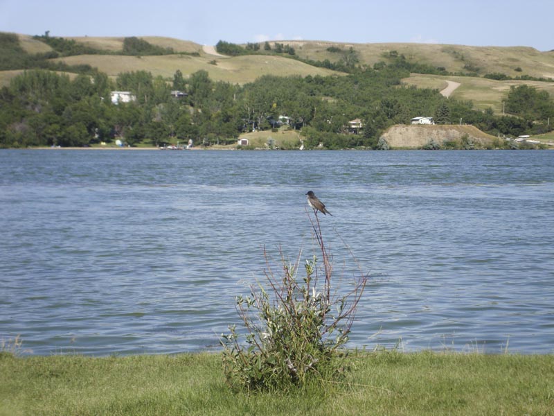 120806_016_buffalopound