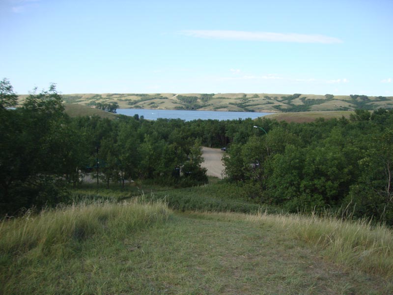 120806_025_buffalopound
