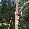 120806_027_buffalopound