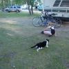 120811_015_rowansravine