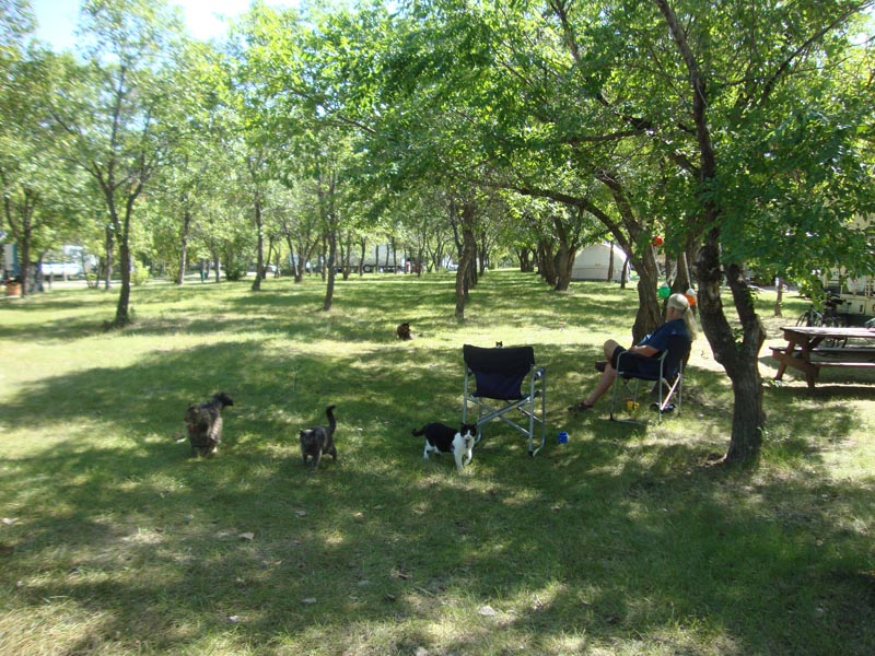 120812_033_rowansravine
