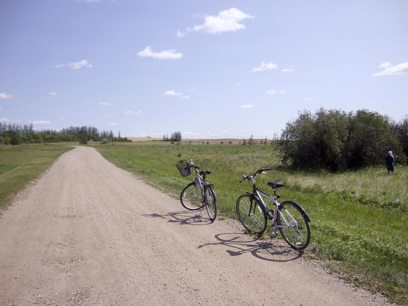 120812_035_rowansravine