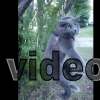 120819_vid007_echo