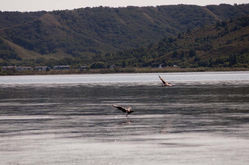 120827_011_crookedlake