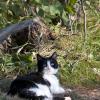 120827_041_crookedlake