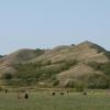 120828_002_prairie