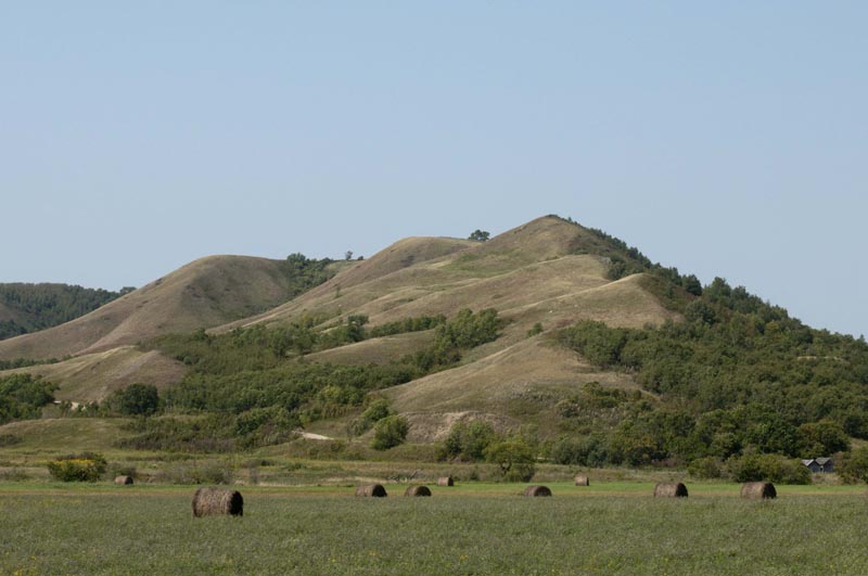 120828_002_prairie