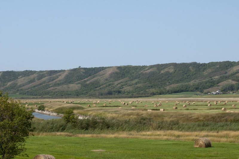 120828_003_prairie