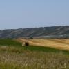 120828_004_prairie
