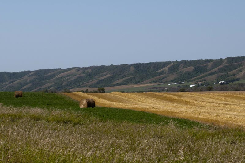 120828_004_prairie
