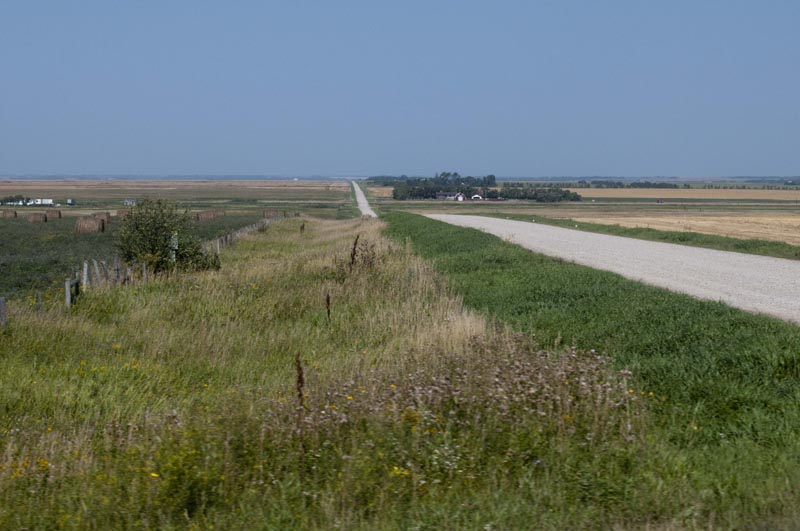 120828_006_prairie