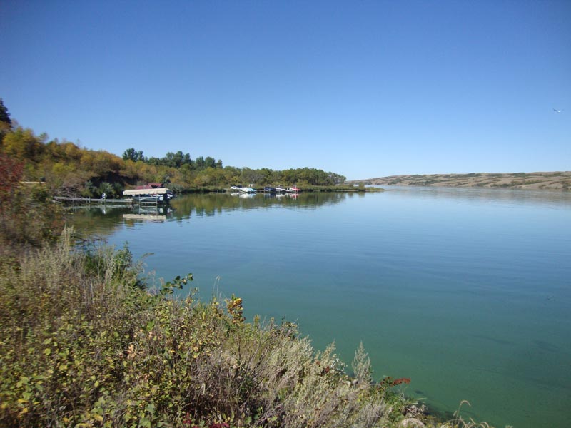 120908_008_buffalopound