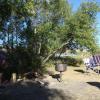120908_020_buffalopound