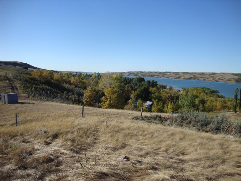 120908_026_buffalopound