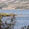 120909_013_buffalopound