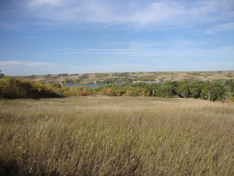 120909_019_buffalopound