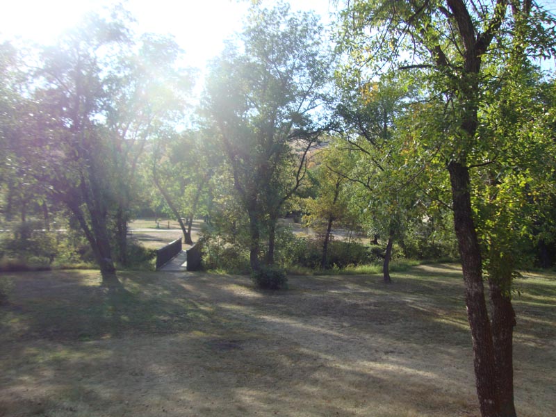 120909_020_buffalopound