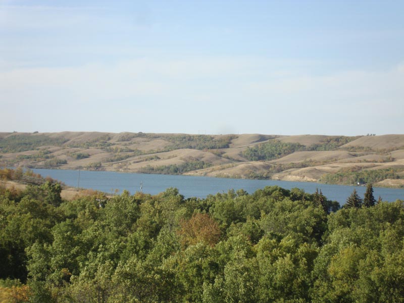 120909_021_buffalopound