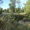 120909_023_buffalopound
