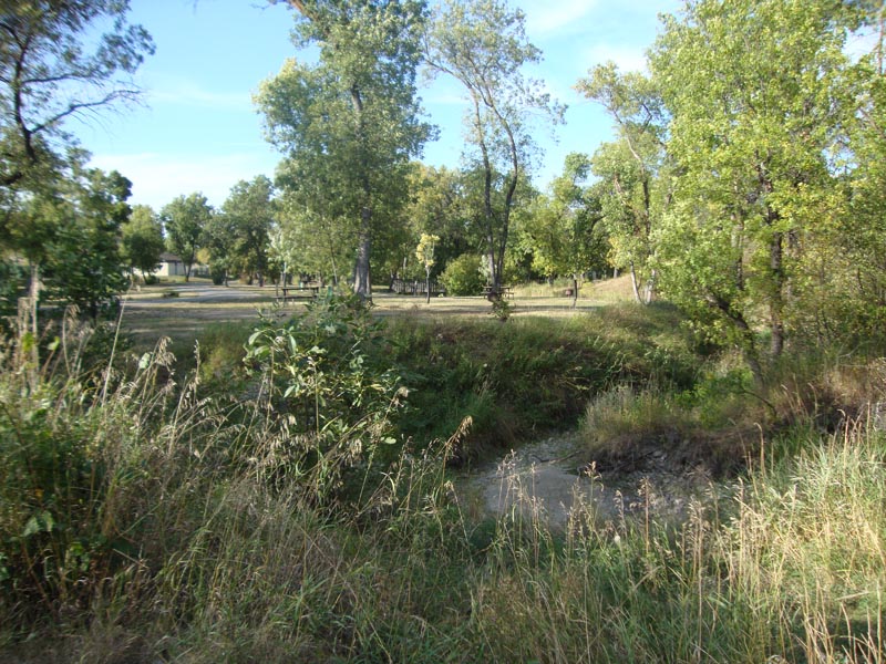 120909_023_buffalopound