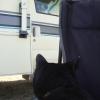 120910_012_buffalopound