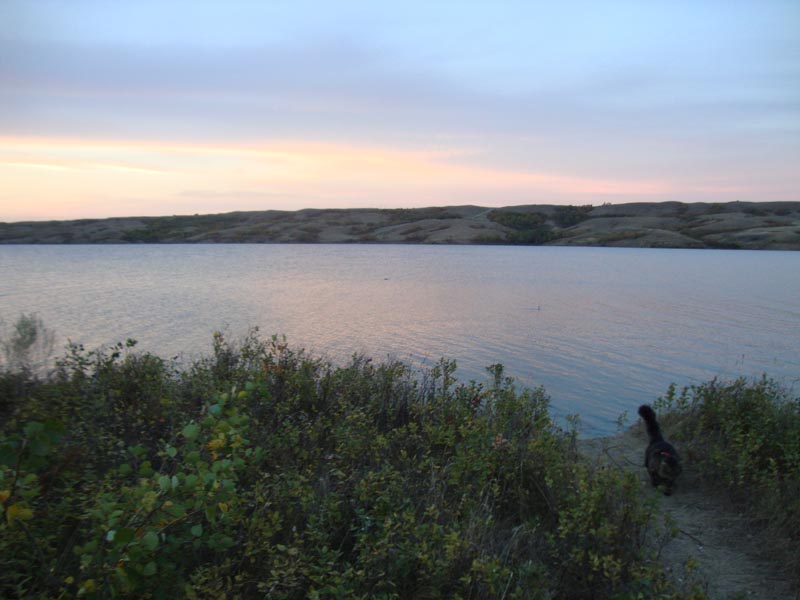 120914_009_buffalopound
