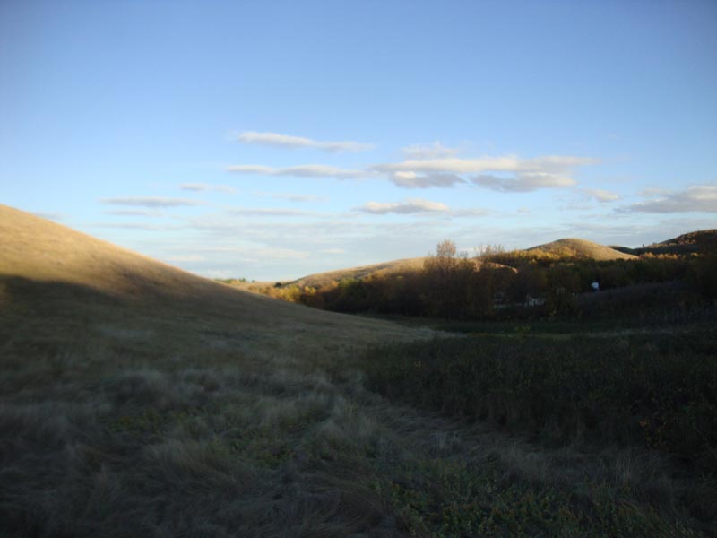 120916_009_buffalopound